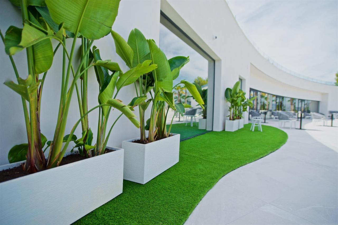 Syncrosfera Fitness & Spa Health Hotel Boutique Pedreguer Bagian luar foto
